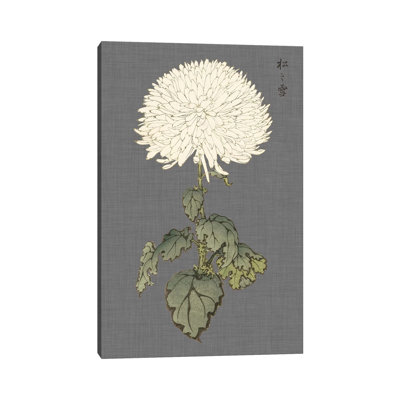 Dramatic Ivory Mums I by Vision Studio - Wrapped Canvas Painting
