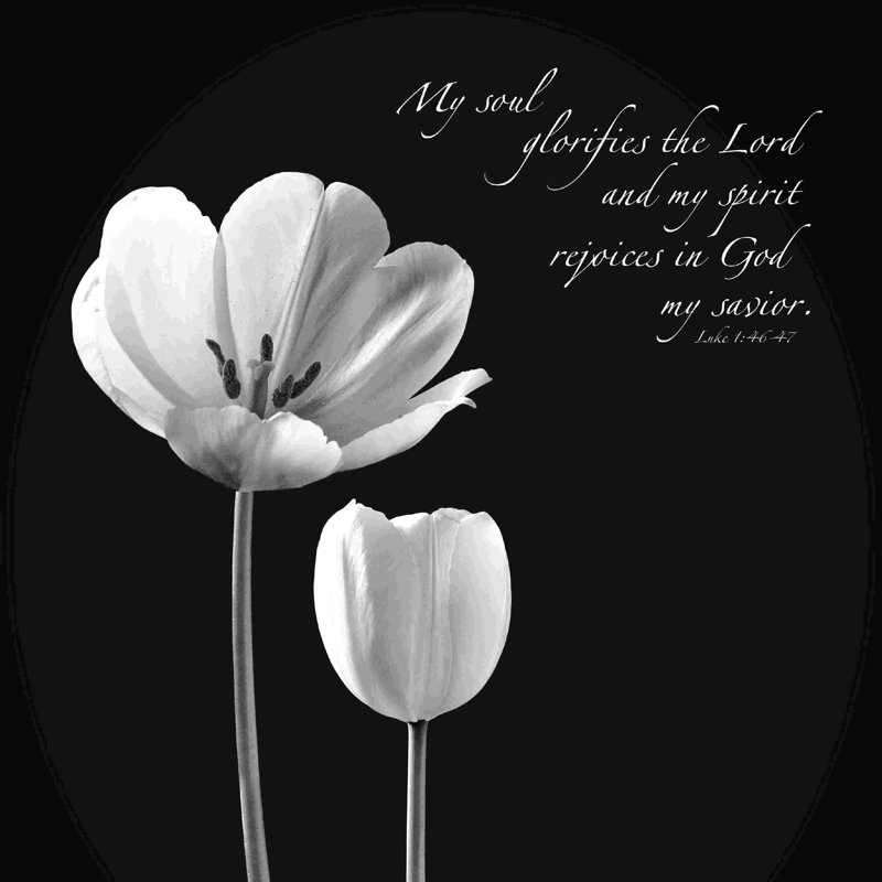 " My Soul ", 36" H x 36" W x 1.25