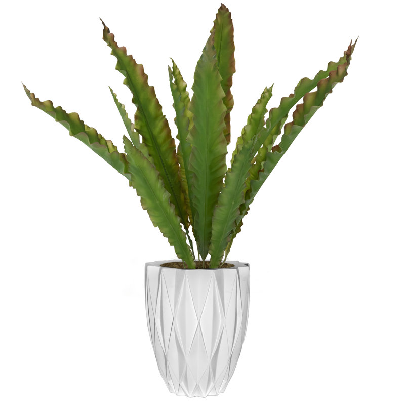 Plante grasse artificielle en pot 31,5 "Panama