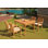 Oakpark Outdoor 5 - Piece Teak Dining Set