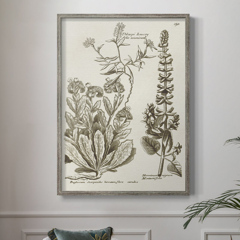 «Sepia Botanical Journal IV», reproduction encadrée - bois massif, H 11 po x l 9 po
