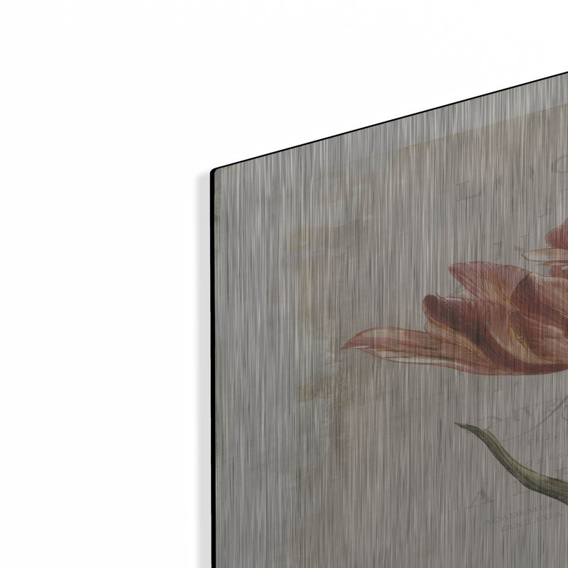 Winston Porter «Antiquarian Blooms 3» par Katie pertiet, art mural en métal, H 36 po x l 24 po