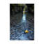 Fabrizzio «Hanging On», reproduction de photo sur toile tendue-27653508