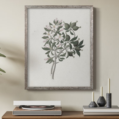 Impression florale vintage encadrée CLxxx - bois massif