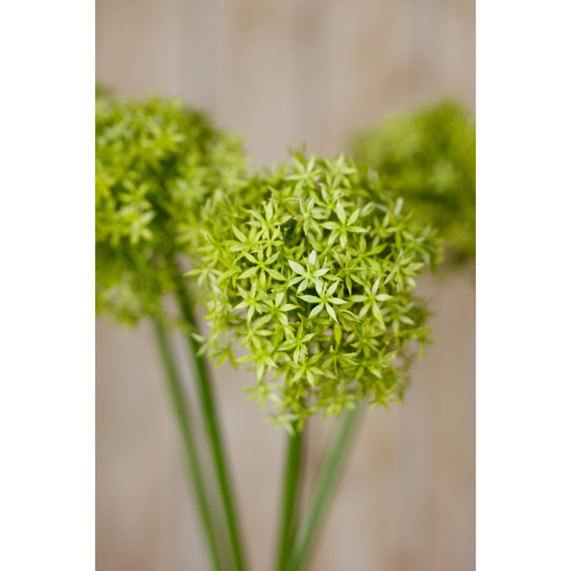 Arrangement, 90cm H x 21cm W x 21cm D, Green
