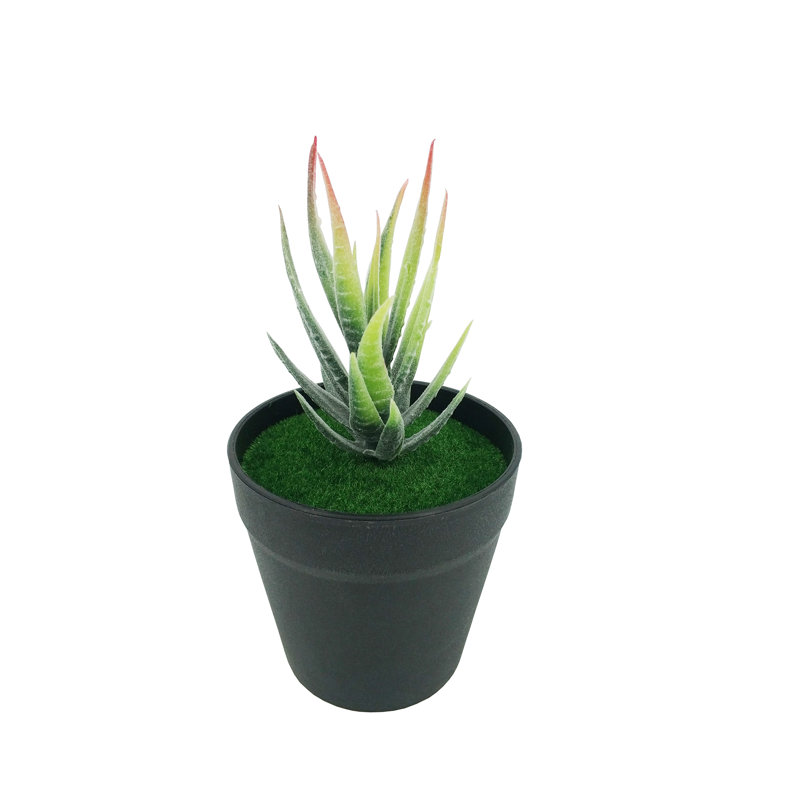 3,5 po x 3,5 po x 7 po de diamètre avec plante grasse verte artificielle Aloe Vera