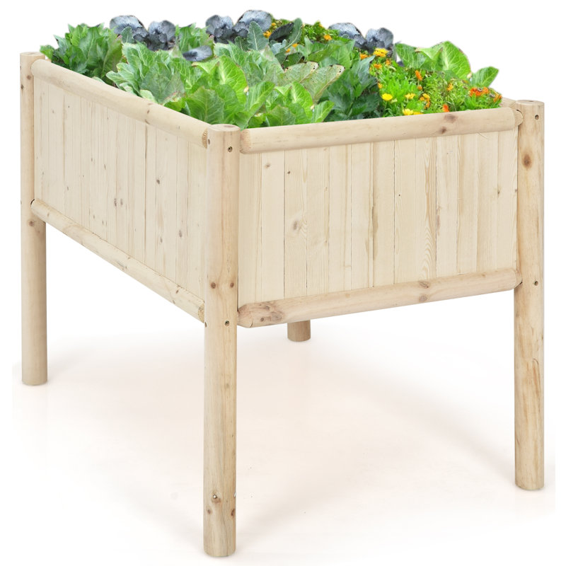 Adreille Wood Liner Plant Stand