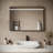 Streamline Rectangular Framed LED Bathroom Vanity Mirror with Defogger, Dimmability, Colour Temperature Change
