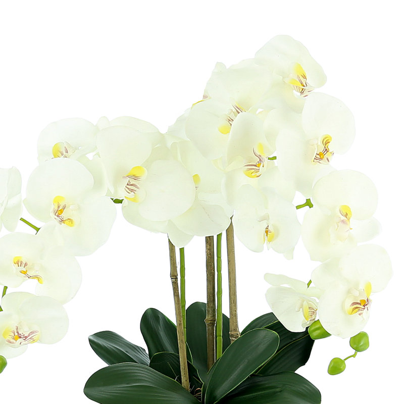 Orchid Arrangement In A Ceramic Vase With Leaves