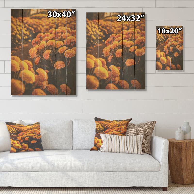«Yellow Chrysanthemums Field at Sunrise I», art mural sur bois de pin naturel, H 40 po x l 30 po