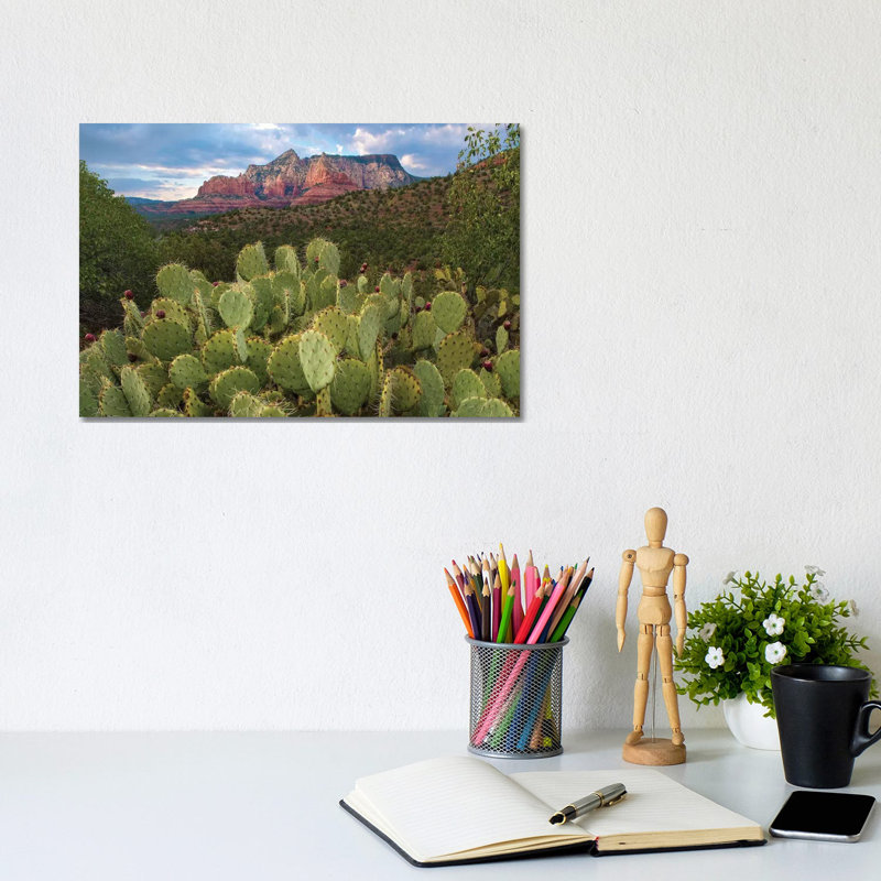 Opuntia Cactus And Mountain, Red Rock-Secret Mountain Wilderness, Arizona by Tim Fitzharris - Wrapped Canvas Print