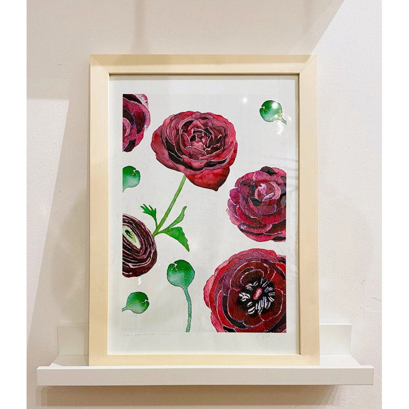 Black Ranunculus On Snow Print by Jessica Hollander, 11" H x 8.5" W x 0.3" D