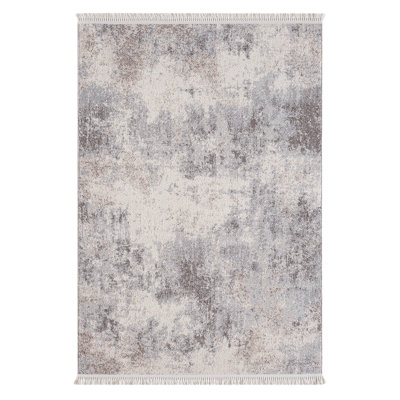 Raxton Abstract Machine Made Indoor / Outdoor Area Rug
