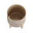 Includes plant rack flower pots