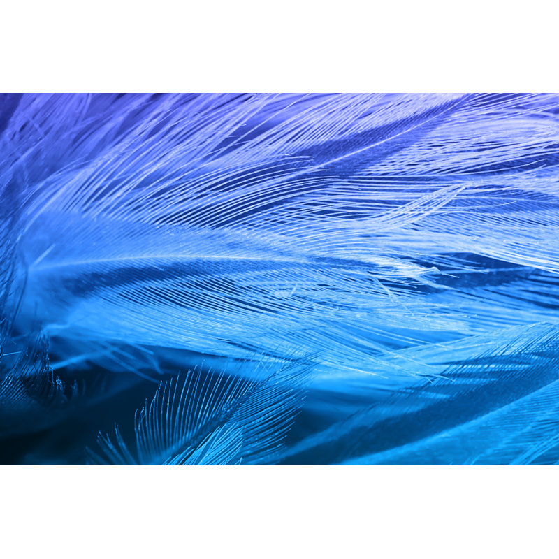 Feather Texture Background by Nadtytok - Wrapped Canvas Print, 20cm H x 30cm W x 3.8cm D