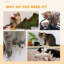 3912.57cm H Cat Tree