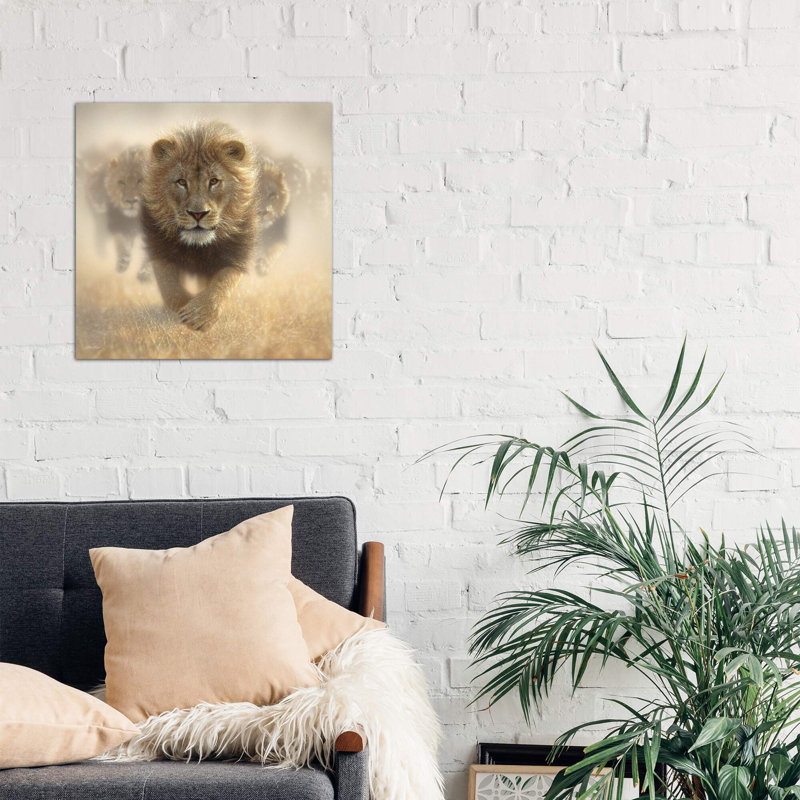 Eat My Dust - Lion, Square by 5by5collective - Wrapped Canvas Painting, 45.72 cm H x 45.72 cm W x 1.91 cm D