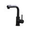 Robinet de lavabo noir avec robinets de salle de bain escamotables