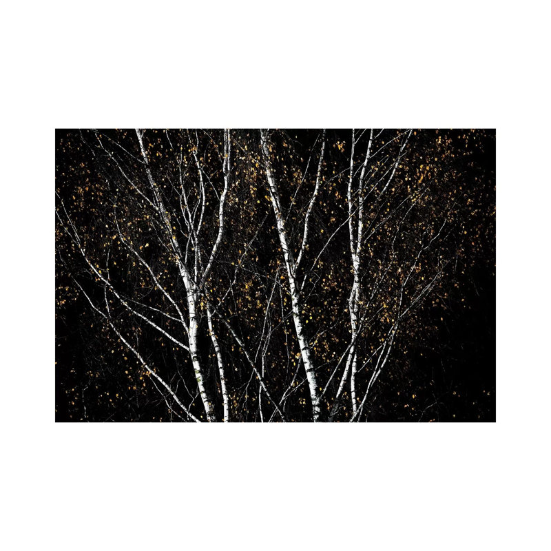 Birch Trees IV by Mareike Böhmer - Wrapped Canvas Print, 20.32 cm H x 30.48 cm W