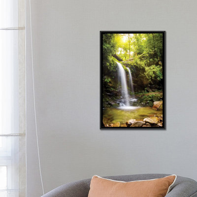 Grotte Falls in Smoky Mountain National Park par Susan Schmitz - reproduction de photo