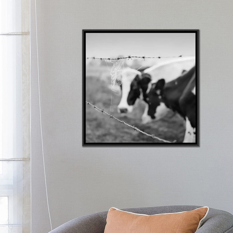 « holstein cow », photographie sur toile, H 18 po x l 18 po x P 1,5 po, Toile encadrée noire, Pas de tapis