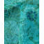 Colp One-of-a-Kind 6' 1" X 8' 9" Hand Knotted Area Rug