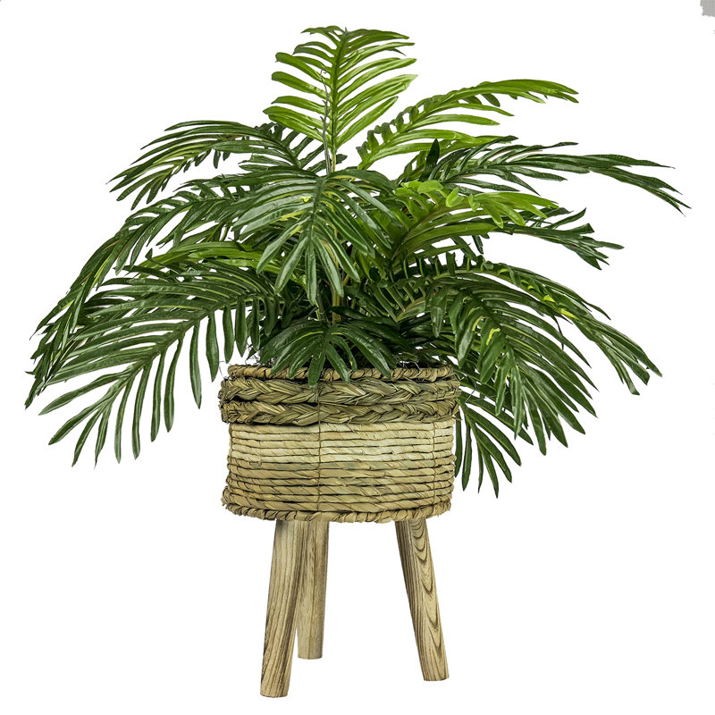Palmier artificiel en panier Brierfield 23 po