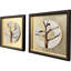 Golden Solstice II Canvas