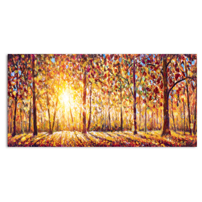 " Sunlight Emerging Through The Autumn Forest Trees "