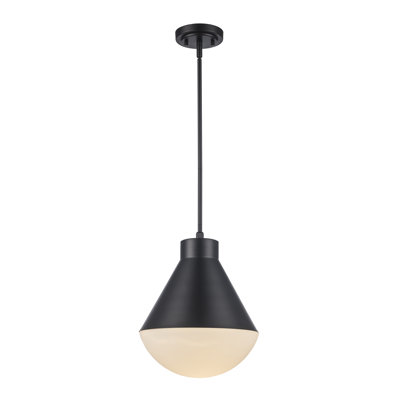 Ebbi 1 - Light Single Pendant