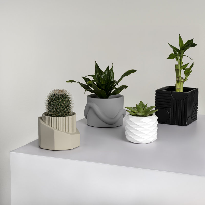 Ensemble de vases géométriques en béton faits à la main avec trous de drainage Romy, Mat neutre mélangé