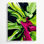 Aquarelle abstraite 88, art mural sur toile verte
