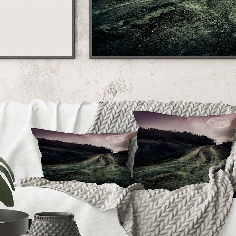 Throw Pillow