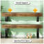 Banc pour plantes