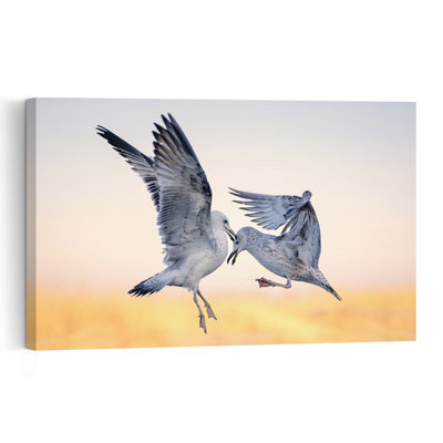 Seagulls In Golden Skirmish Abstract Contemporary Seagull Bird Landscape Nature Wall Art Print 1 Piece Wrapped Canvas Wall Art