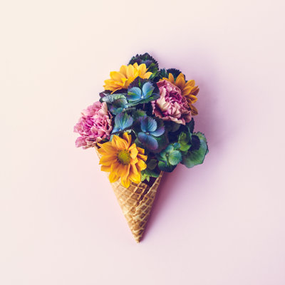 Fresh Flowers in Ice Cream Cone by Knape
