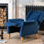 Ailith 70cm Wide Velvet Wing Chair Recliner-488310762