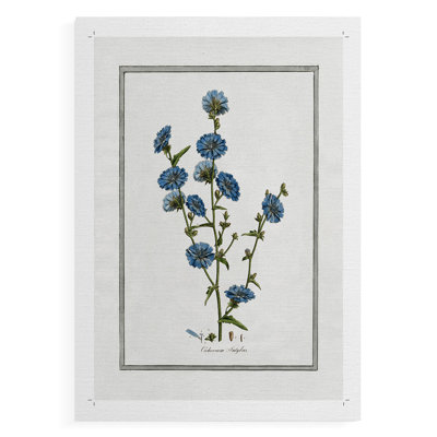 Soft Botanical I -Canvas Print Only - NOT FRAMED