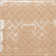 Phlox 8" x 8" Porcelain Patterned Wall & Floor Tile