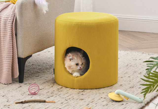 Furniture Style Cat Beds