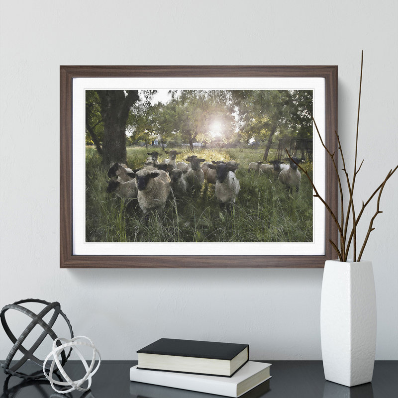 Flock of Sheep Vol.3 - Framed Print, Walnut Framed, 48cm H x 65cm W x 2cm D