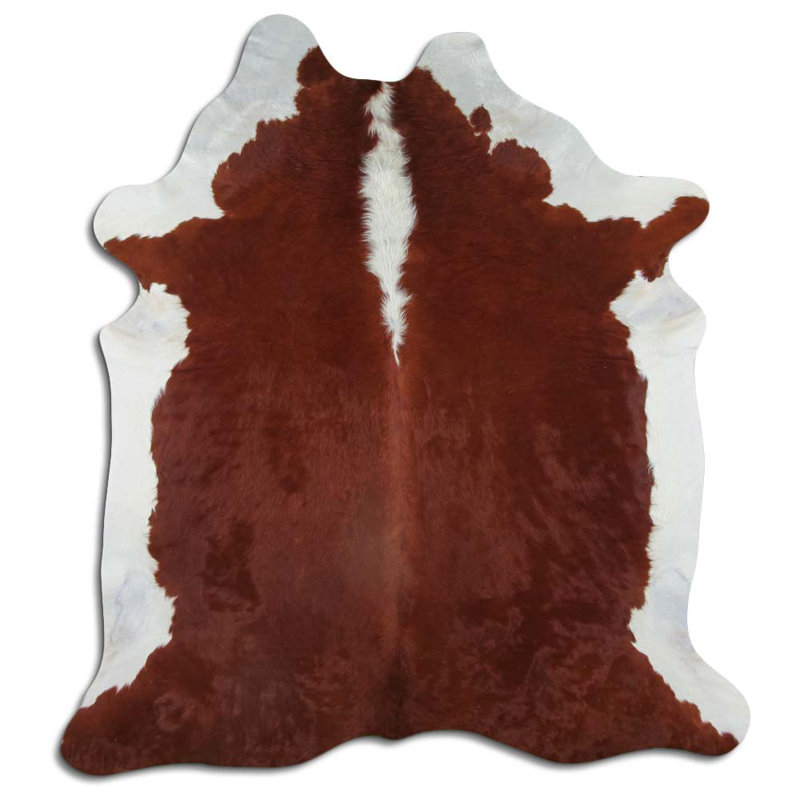Hereford Damen