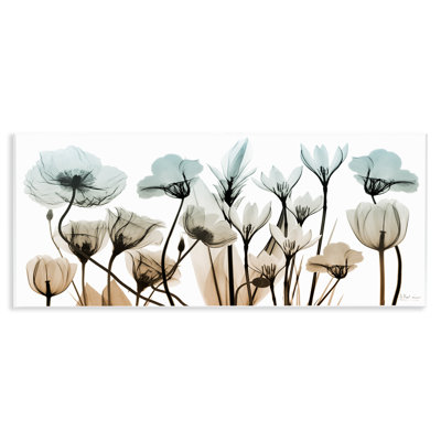 Mixed X-Ray Flowers par Albert Koetsier