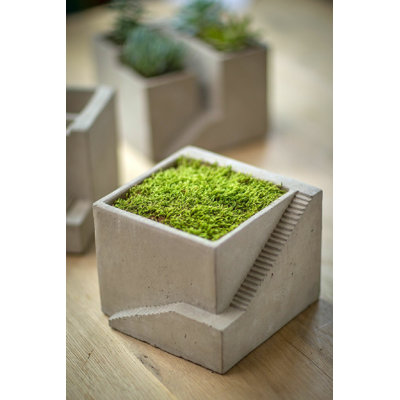Pot Planter