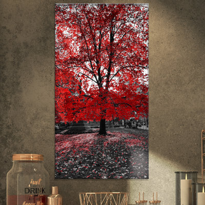 " Red Tree In Central Park "
