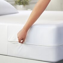 Wayfair  Twin Mattress Covers & Protectors You'll Love in 2023