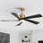 Karlena 52'' Modern Large Ceiling Fan With Led Lights And Remote Control, App, Timer, Memory
