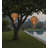 Wicker Hanging Solar Hot Air Balloon Lantern with Glass Panels and Metal Frame-125845214