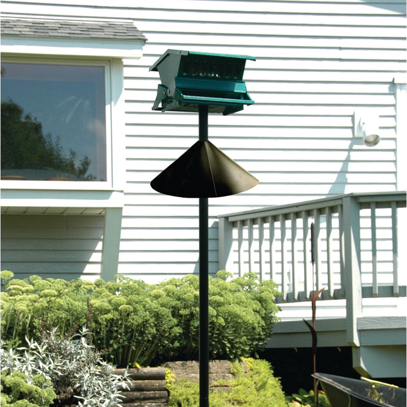 Quechee Plastic Squirrel Guard