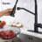 Rainlex Pull Down Kitchen Faucet